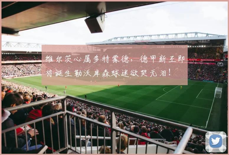 维尔茨心属多特蒙德，德甲新王即将诞生勒沃库森球迷欲哭无泪！