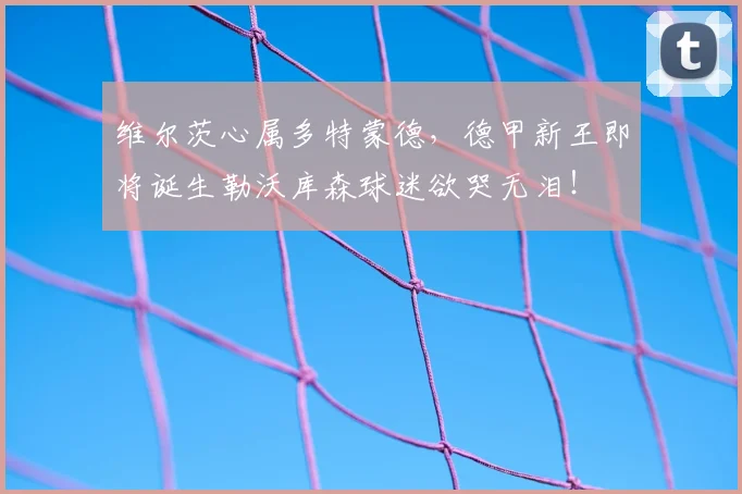 维尔茨心属多特蒙德，德甲新王即将诞生勒沃库森球迷欲哭无泪！