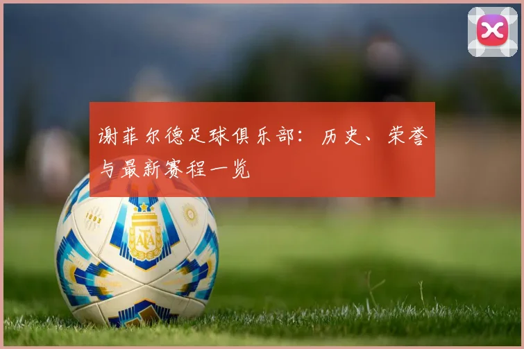谢菲尔德足球俱乐部：历史、荣誉与最新赛程一览