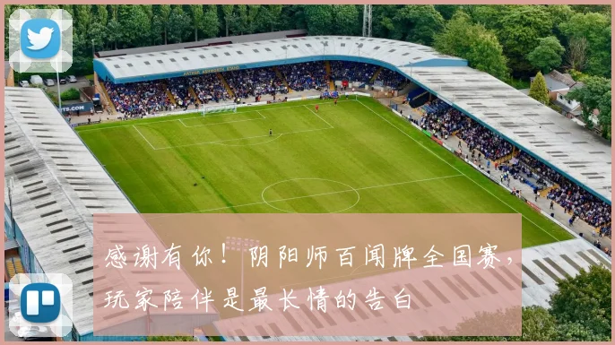 感谢有你！阴阳师百闻牌全国赛，玩家陪伴是最长情的告白